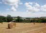 Paysage agricole en été dans la Marne 
