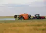 Pulvérisation d'un insecticide et d'un foncidide sur une parcelle de blé