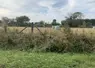 Parcelle agricole touchée par la sécheresse