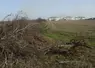 Haie arrachée en Normandie