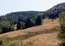 Prairie desséchée dans les Vosges.  