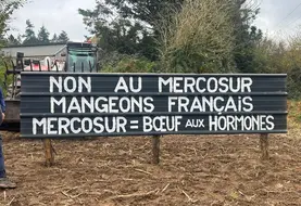 Message inscrit sur une barrière « Non au Mercosur Mangeons français Mercosur = Bœuf aux hormones »