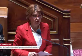 La ministre de l’Agriculture Annie Genevard annonçant le 28 mai au Sénat un nouvel assouplissement des tirs de défense, à destination des éleveurs bovins. 