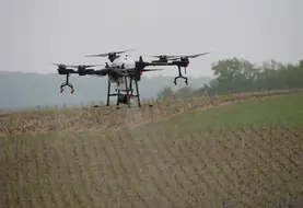 drone au dessus d'un vignoble