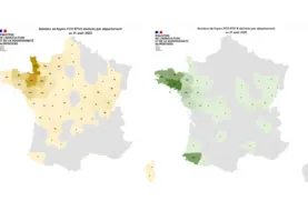 Cartes présentant les cas de FCO3 et FCO8 recensés depuis le 1er juin 2025 en France.
