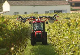 Une agricultrice dans son tracteur traite des pieds de vignes grâce à des pulvérisateurs. 