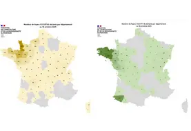 Carte des foyers de FCO 3 et FCO 8 recensés depuis le 1er juin 2025 jusqu'au 16 octobre 2025
