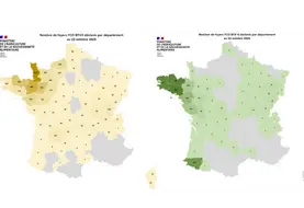 Cartes des cas de FCO3 et FCO8 au 23 octobre depuis le 1er juin 2025.