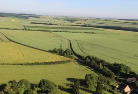 Vue aérienne d'un paysage agricole avec des haies  