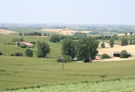 Paysage agricole dans le Sud-Ouest.