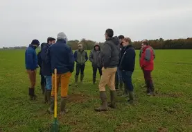 Plusieurs personnes réunies dans un champ