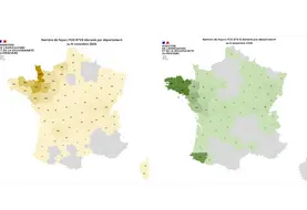 Cartes des foyers de FC03 et FCO8 depuis le 1er juin 2025