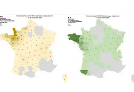 Cartes des foyers de FC03 et FCO8 depuis le 1er juin 2025