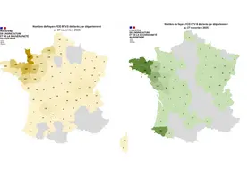 Cartes des foyers de FC03 et FCO8 depuis le 1er juin 2025