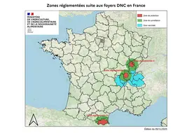 Carte des zones réglementées et vaccinées liées à la DNC au 5 novembre 2025.