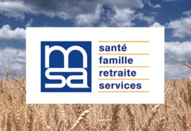 image réalisée avec un logo MSA au milieu d'un champ de blé