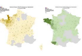 Cartes des foyers de FC03 et FCO8 depuis le 1er juin 2025