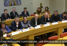   Capture d’écran de l’audition publique sur la DNC organisée par l’Opecst le 15 janvier 2026.  