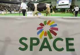 Concours de vaches au Space 2025