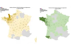 Cartes des foyers de FC03 et FCO8 depuis le 1er juin 2025