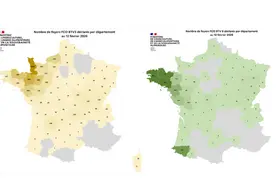 Cartes des foyers de FC03 et FCO8 depuis le 1er juin 2025