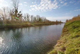 cours d'eau entouré d'arbres et de champs