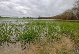 Champ de culture inondé dans le département de la Marne après une forte crue du fleuve du même nom.