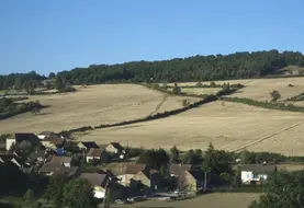 Champs et pâturages impactés par la sécheresse dans le Charolais début août 2026.