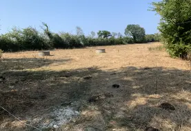Prairie séchée et jaunie par les canicules et la sécheresse dans le Calvados en août 2026.