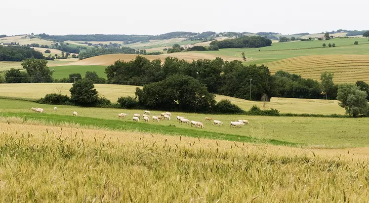 campagne française