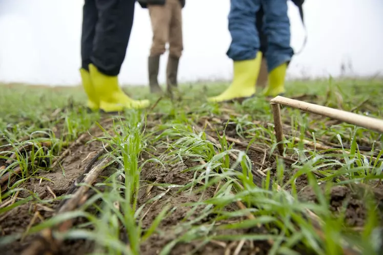 agriculteurs en discussion dans un champs