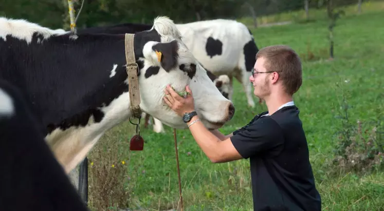 Jeune agriculteur installation