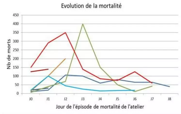 Evolution de la mortalité dans sept ateliers infectés, jusqu’au jour de prélèvement