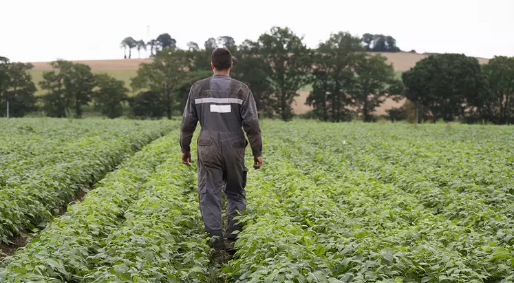 mal-être, suicide chez les agriculteurs