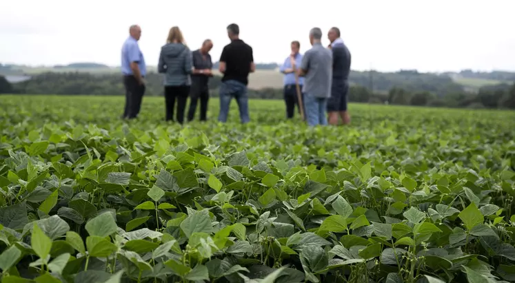 Jeunes agriculteurs 