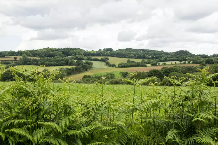 La présence de pesticides détectée dans l'air breton