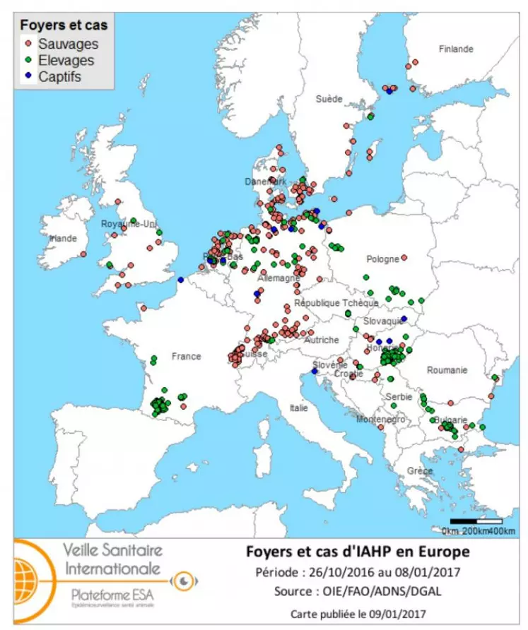 Carte des foyers et cas d’IAHP déclarés dans l’Union européenne entre le 26 octobre 2016 et le 8 janvier 2017 inclus (sources : OIE/FAO/ADNS/DGAL).