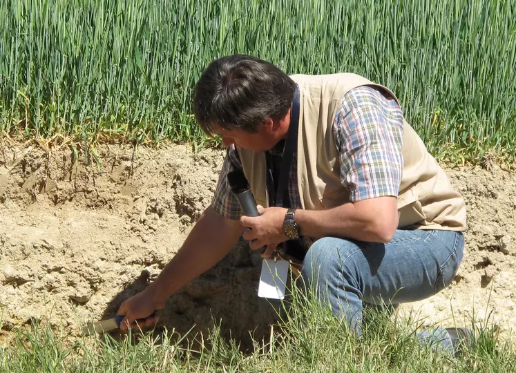 conservation des sols
