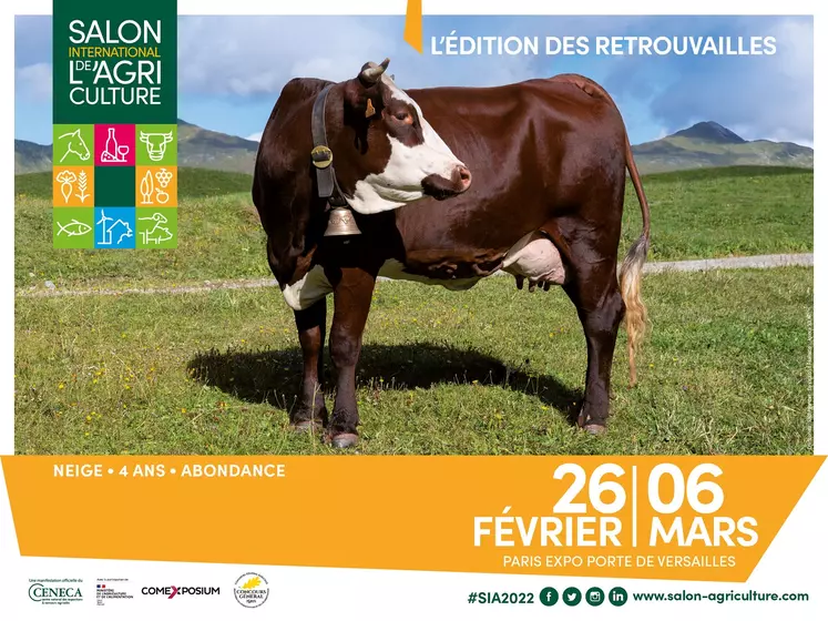 Le Salon International De L’agriculture 2022 Aura-t-il Lieu ? | Portail ...