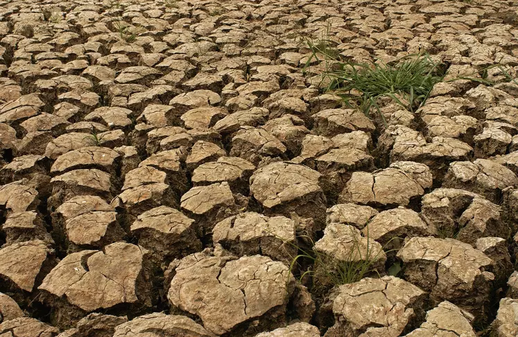 Terre craquelée par la sécheresse