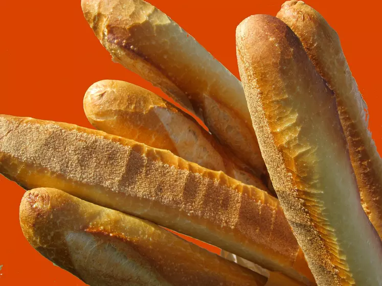 baguettes de pain