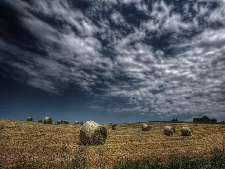 Comptes de l'agriculture