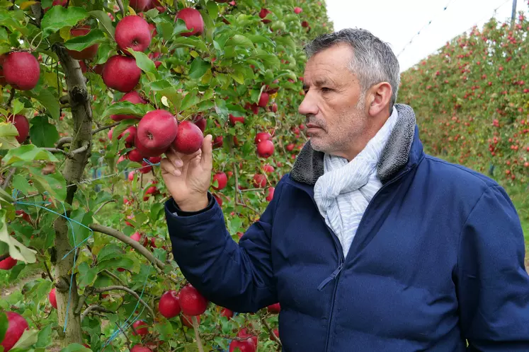 « La récolte des données de l’entreprise représente des heures et des années de travail », affirme l’arboriculteur des Deux-Sèvres Philippe Cantet, qui les partage avec plusieurs partenaires.