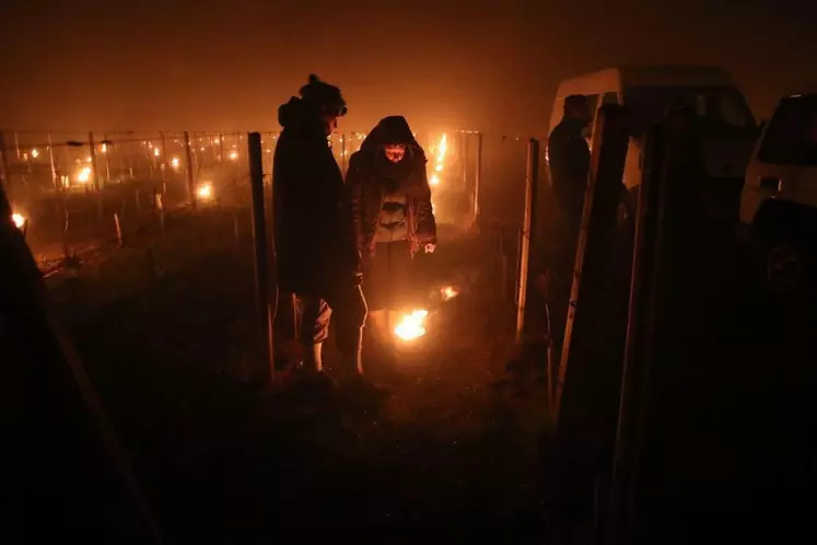 De nombreux arboriculteurs et viticulteurs ont passé la nuit debout à tenter de protéger leurs cultures face au gel.