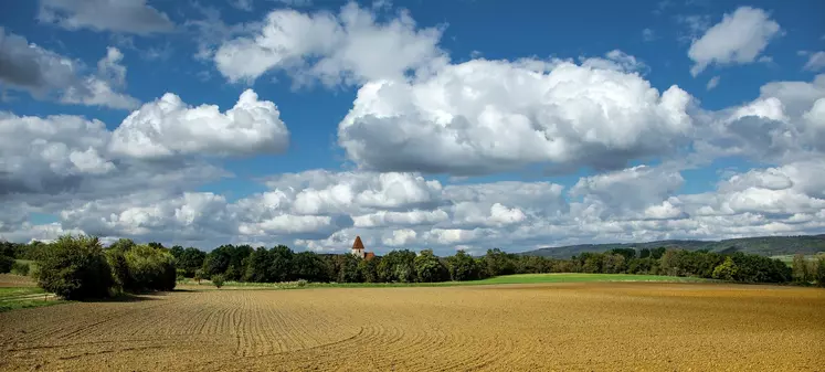 paysage agricole