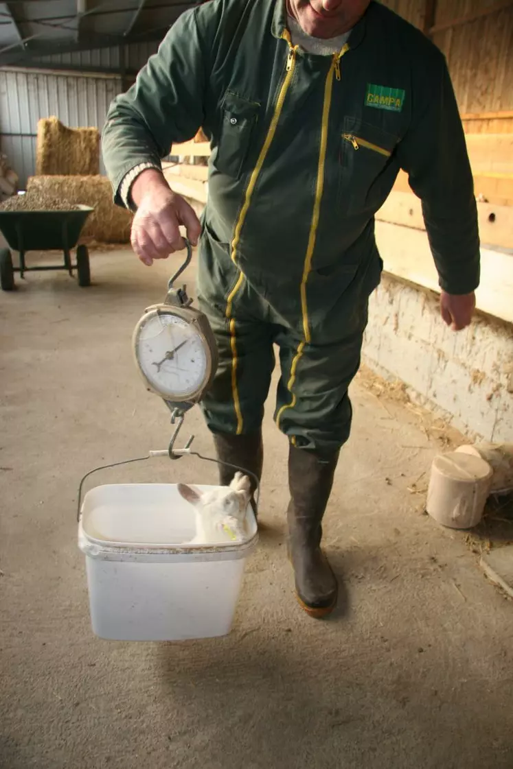 Il est important de peser régulièrement les chevrettes.