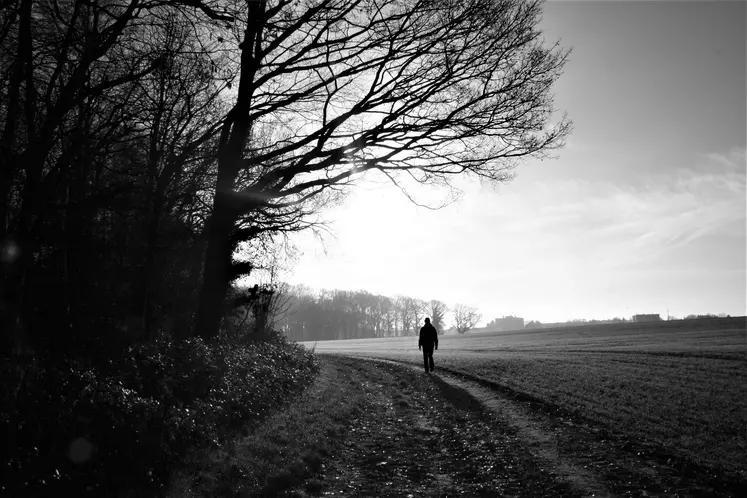 Homme seul dans les champs