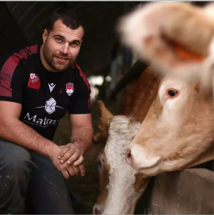 Le rugbyman Jérôme Rey et ses vaches
