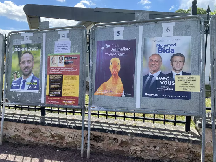 Affiche canard parti animaliste élections législatives 2022