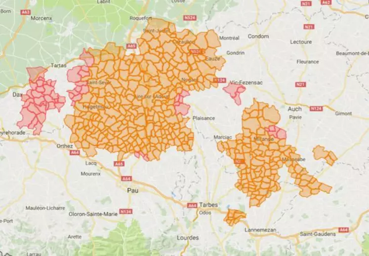 Cinquante quatre communes ont rejoint la liste des 361 d'abattage préventif des palmipèdes